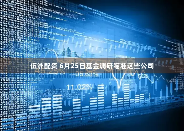 伍洲配资 6月25日基金调研瞄准这些公司