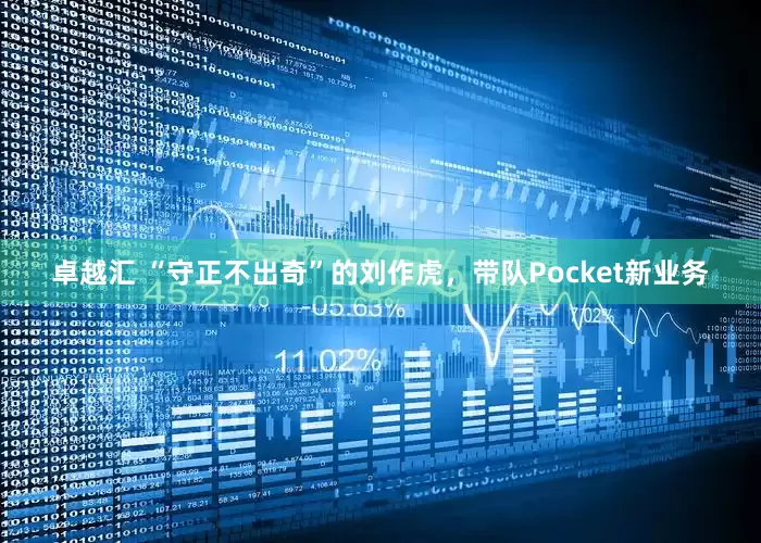 卓越汇 “守正不出奇”的刘作虎，带队Pocket新业务
